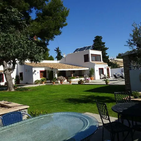 Mi Naranjo Dehesa de Campoamor (Orihuela Costa)
