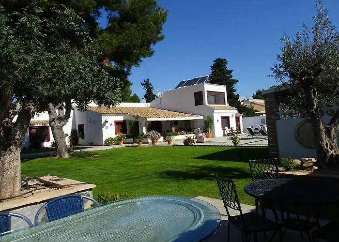 Mi Naranjo Dehesa de Campoamor (Orihuela Costa)